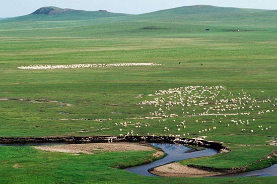 【最大的草原】-中国最大的草原，非洲最大的草原