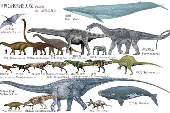 【恐龙之最】-世界恐龙之最记录有哪些?最大、最凶猛的恐龙是？