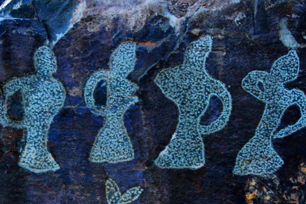 ������ʮ����������