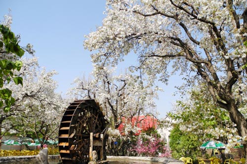 ����ʮ���ʺϴ������εĵط�