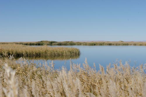 ����ʮ����������