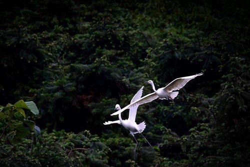 <b>����ʮ�������ĵط�</b>