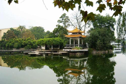 ��̶ʮ�������ľ���