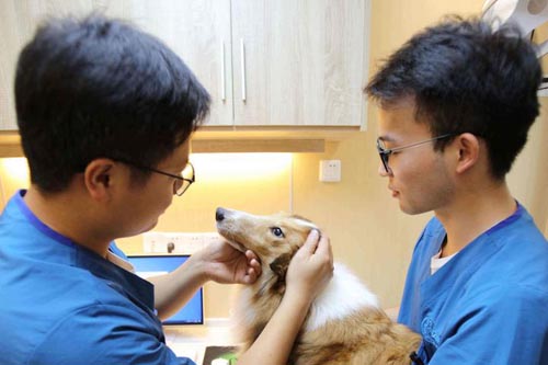 <b>��ɳʮ�����ҽԺ</b>